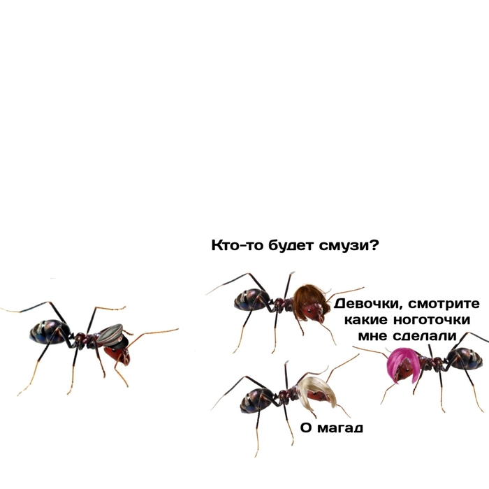 Когда узнал правду | Пикабу