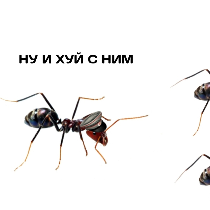 Когда узнал правду | Пикабу