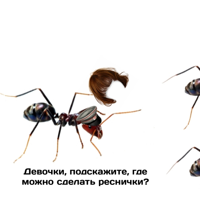 Когда узнал правду | Пикабу