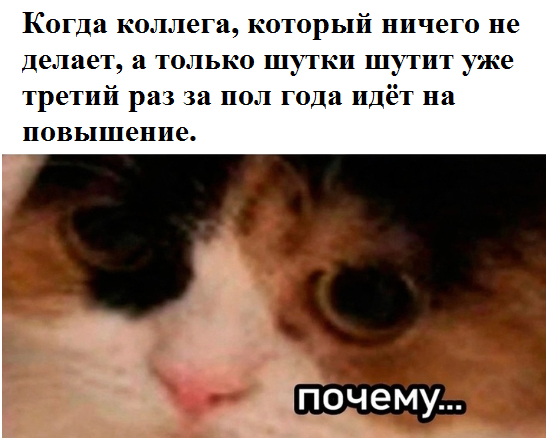 ��������� ���� �� ���������