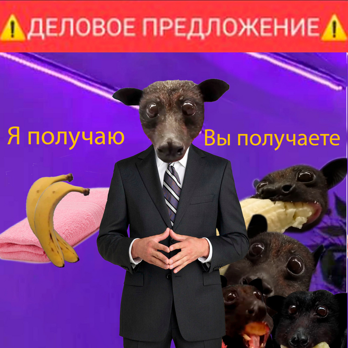 ������� �����������