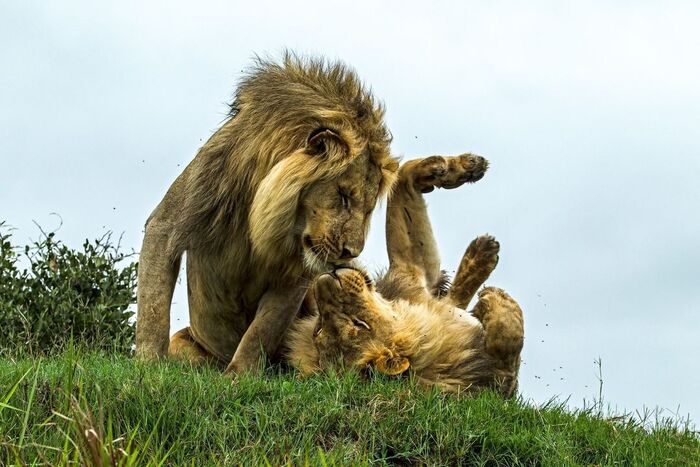 Момент привязанности