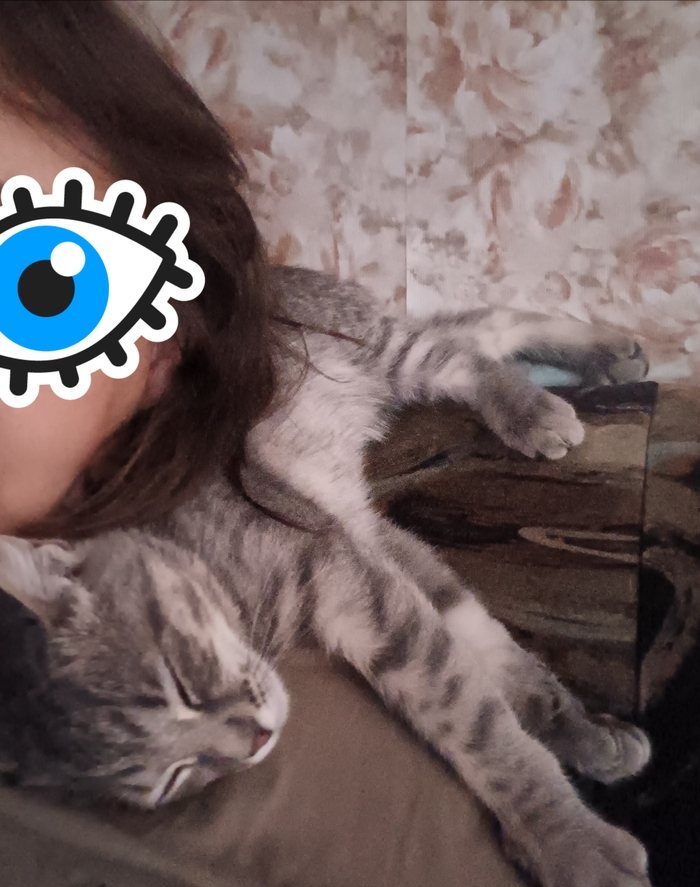 Никогда не было и вот опять ...