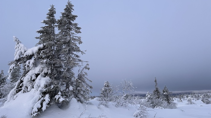 Волостная сопка