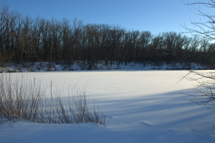 ���� � ������ ���������.