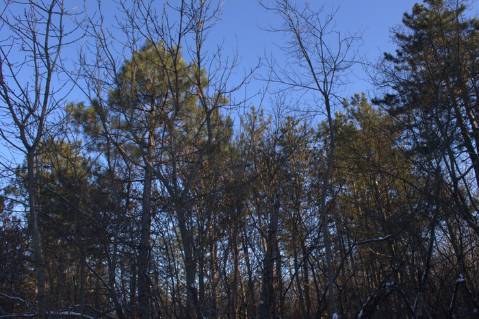 ����������� ������� ��� ���� ������....