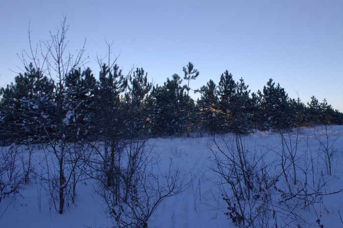 ������� ����� � ���� �� �� ������