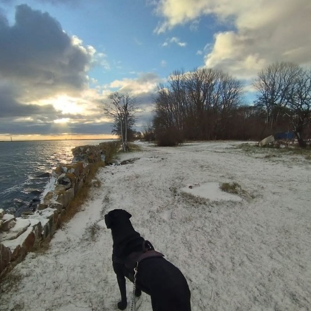 Привет Пикабу из Калининграда