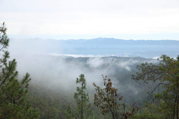 ������, �������� �������