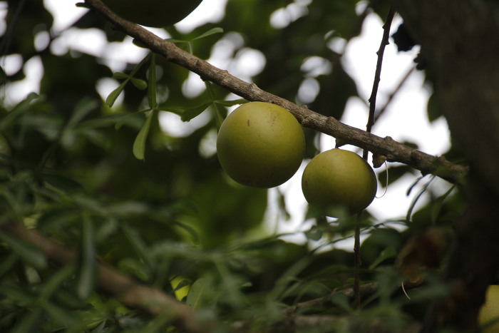 �� ����� ����������� �������