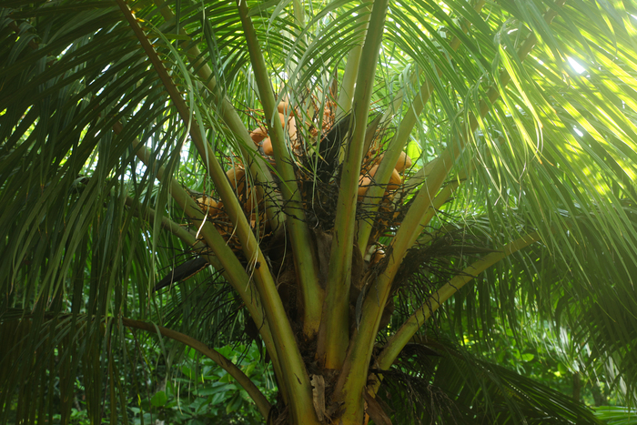 �������� ������ � �������������� ��������