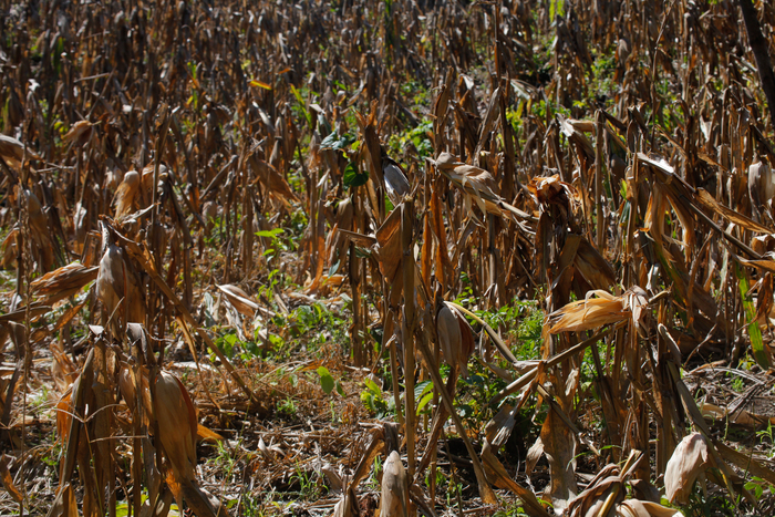 ���������� ���� � �������������� ��������