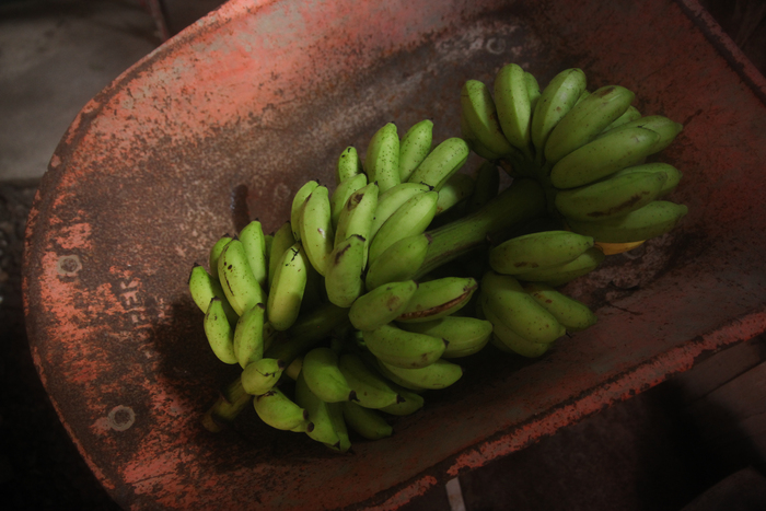 ������ ������� � ����� ����������� ������ � ������� � ���������