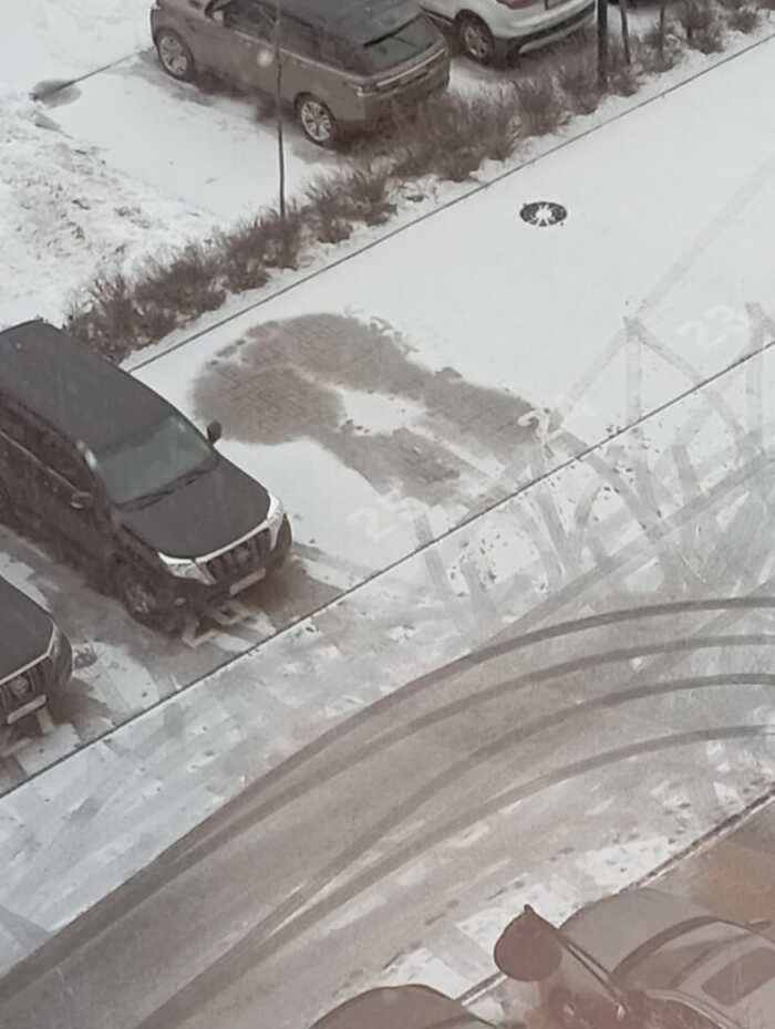 �� ���� � �������, ���� ����� �������)