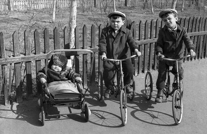 ���� ���������� �������