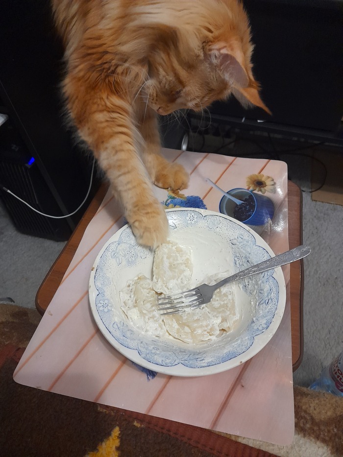 � ��� ��� � ��� ��� �����