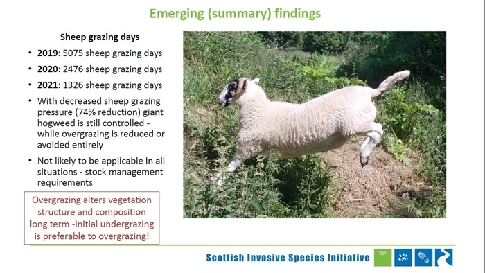 Фото 6. Из презентации SISI.