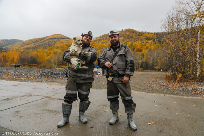 Из серии «Именно они делают Россию великой» / снято мной на Руднике «Молодежный» (ПАО «Русолово») в Хабаровском крае
