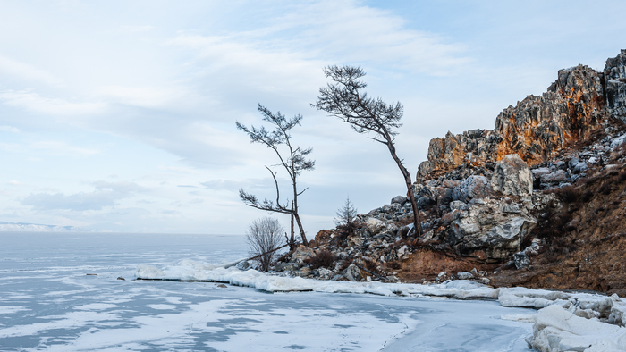 ��������� �. ������