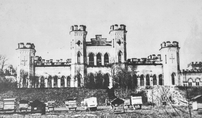 ������ ���������� 19 ���