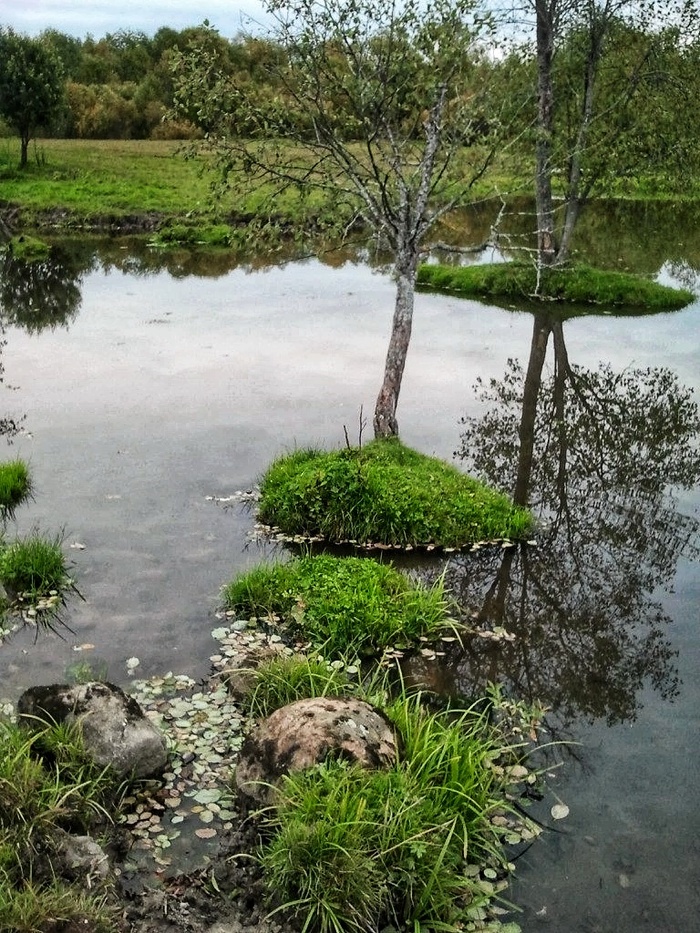 ���� ����� �����