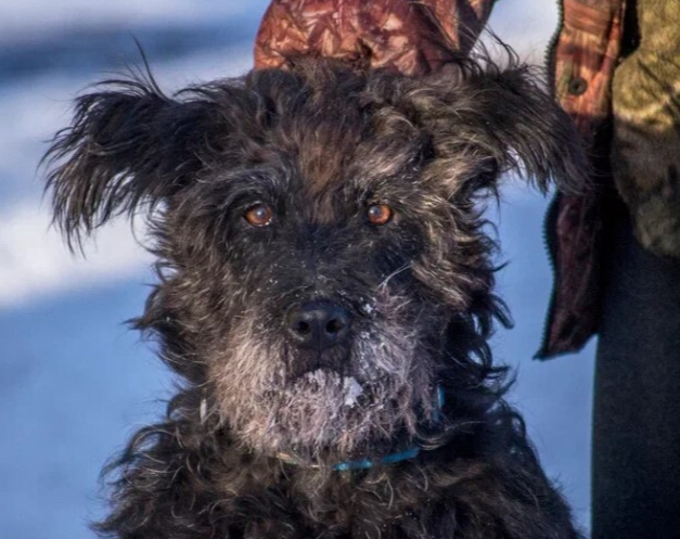 �������������� ���� ��������� �������