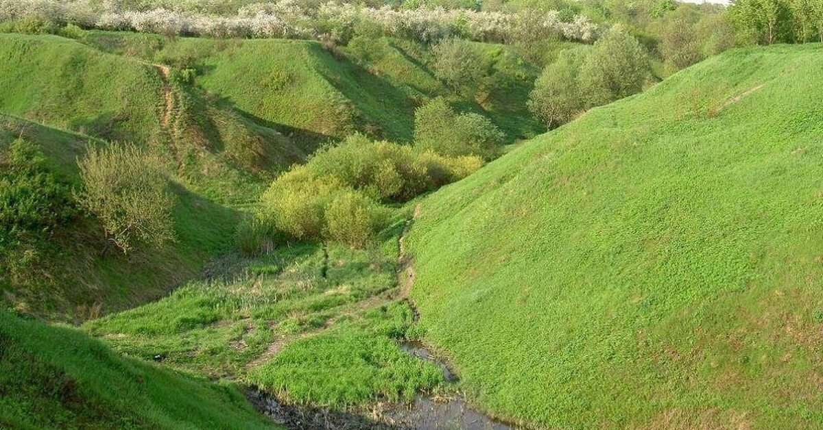 Сон овраг с водой. Дьяковский овраг. Нефтяной овраг Самарская область. Холмисто моренно эрозионный ландшафт в Беларуси.