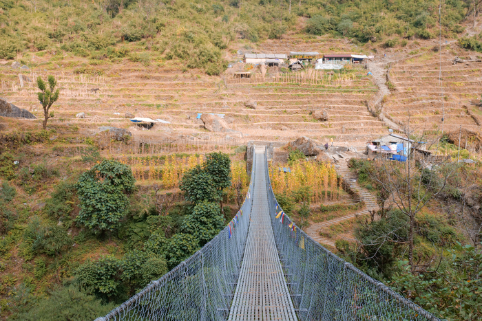 Стандартный Гималайский мост