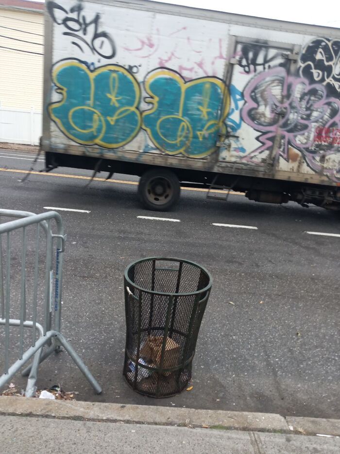  .      ,    .  ,     5  .