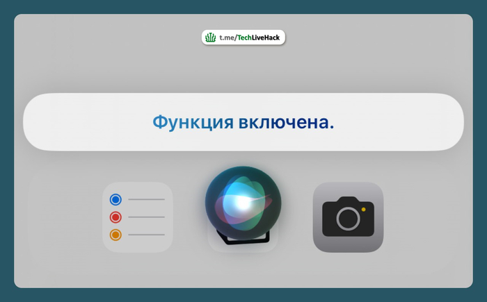       , ,  , iPhone, iOS, , Telegram ()