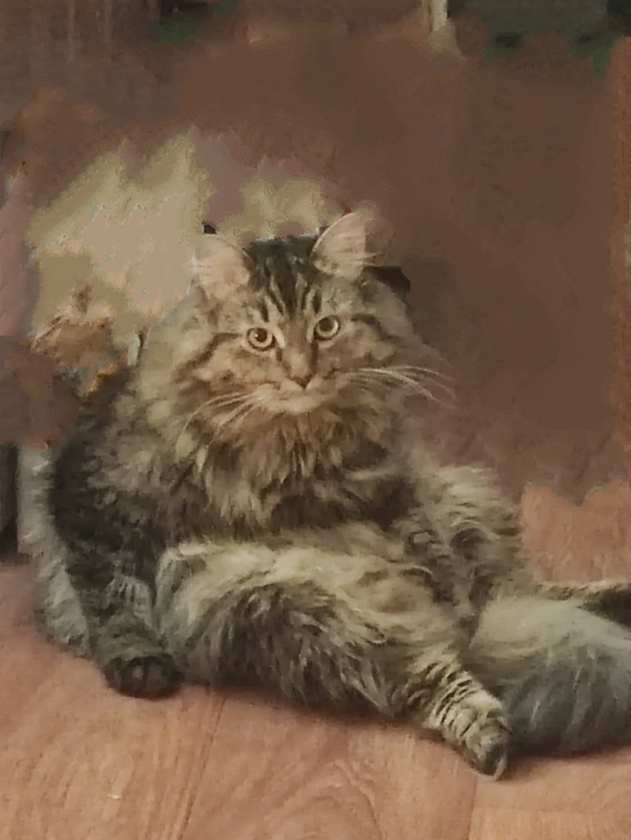 ������� ���� ����,����� ����� � � �����