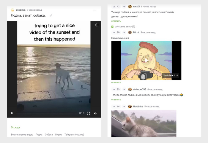 �����, ����, �����, ������� � ����� ����������. ������ ������������ Pikabu ������ �������?