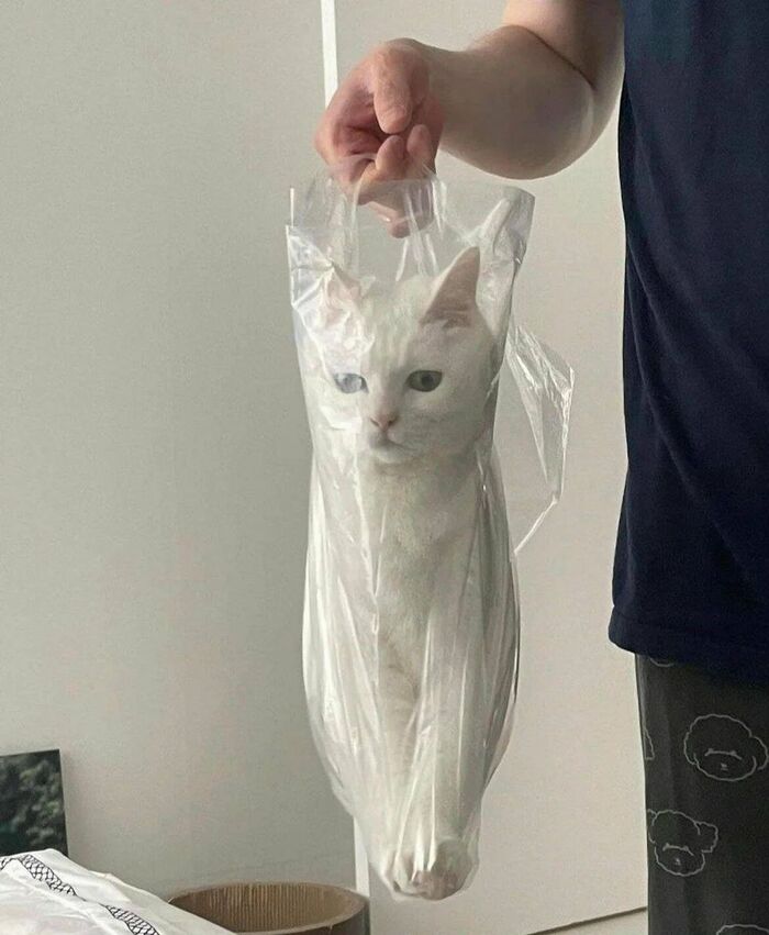  ? , 