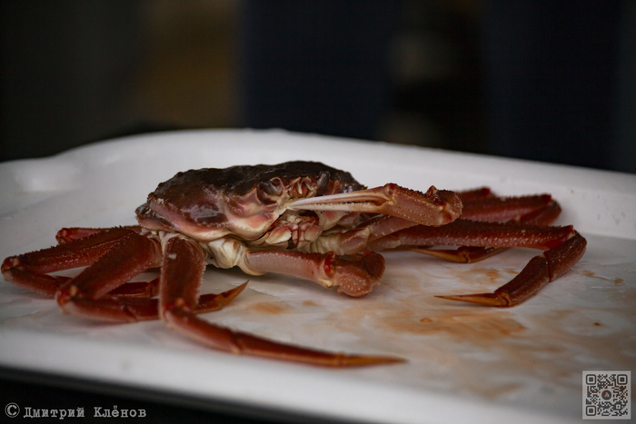 Будущий обед