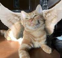 �� ���� �� �������. ������ �������� ����� 