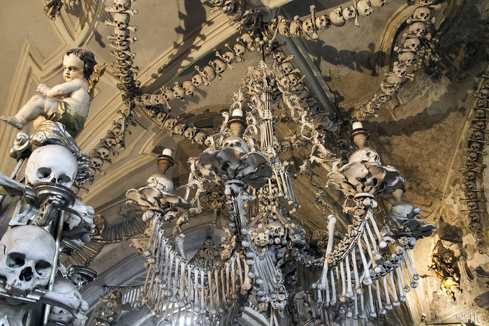 ,      ?    .  ,      , .