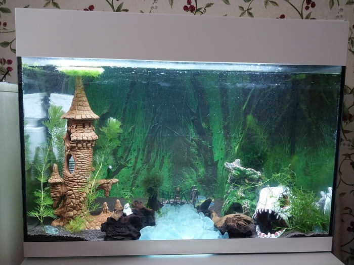 Подводные кошмары. Запуск, параметры