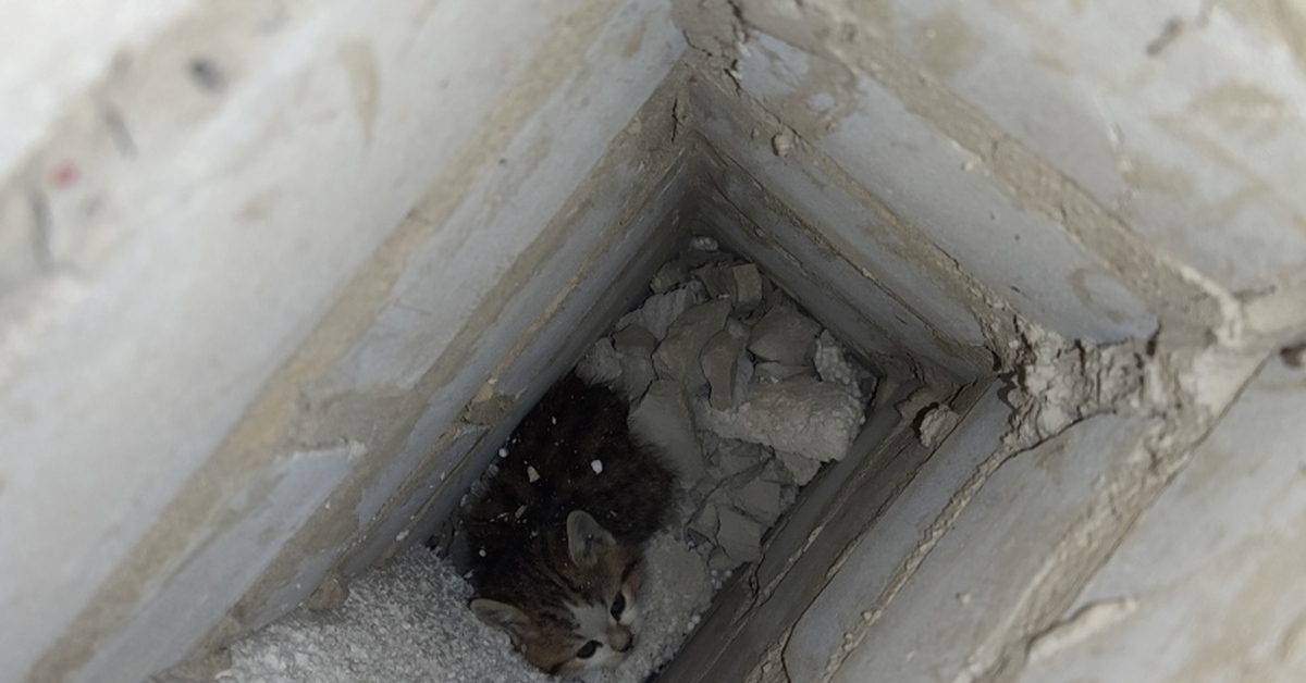 боже храни нашу злость