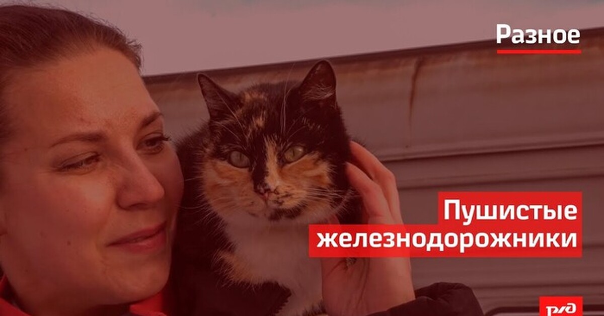 Пушистые железнодорожники РЖД | Пикабу