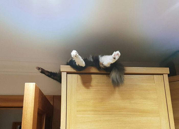   , , 