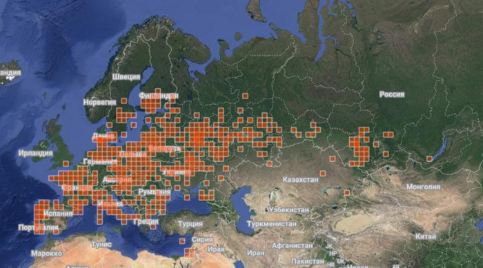    iNaturalist.   -        ! ;)