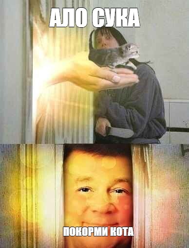 Покорми кота б*лять