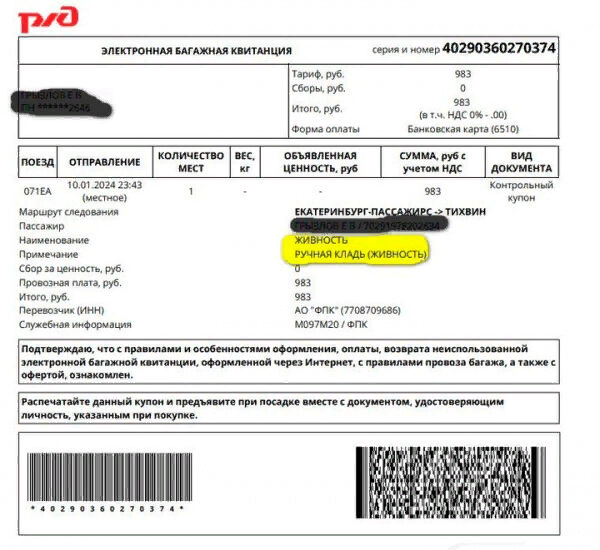 Сколько стоит кот?