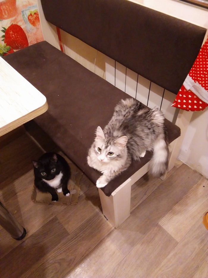 �����, ��������������� � ������, ��� ��� ������, ��� ���������