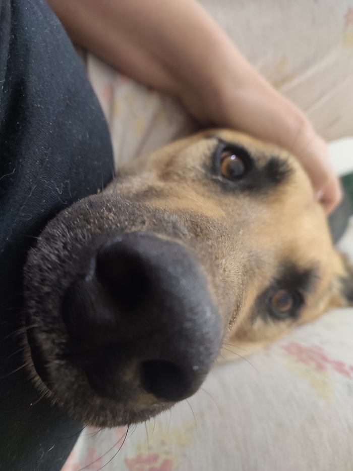 �� ������� ���� ����� �������� �����, ��� ����� ����! ����� ���