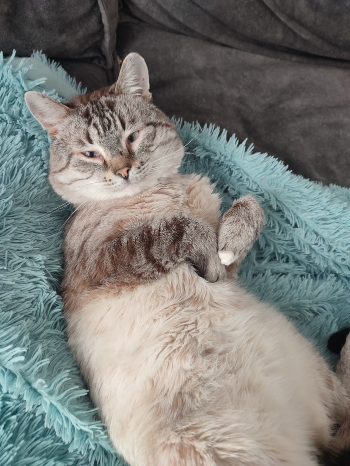 ��� ������������ ��� � ������