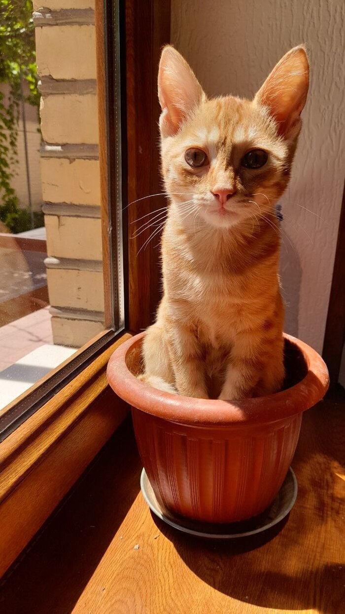 ������� ������� ������� !