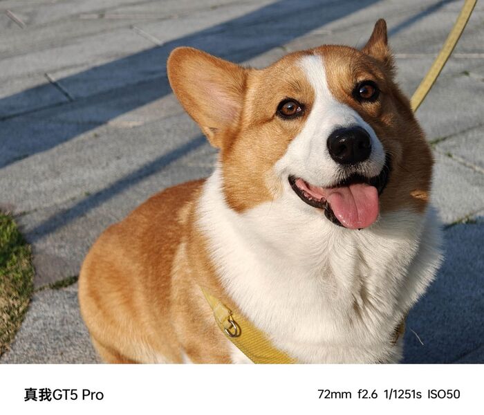 Телекамера