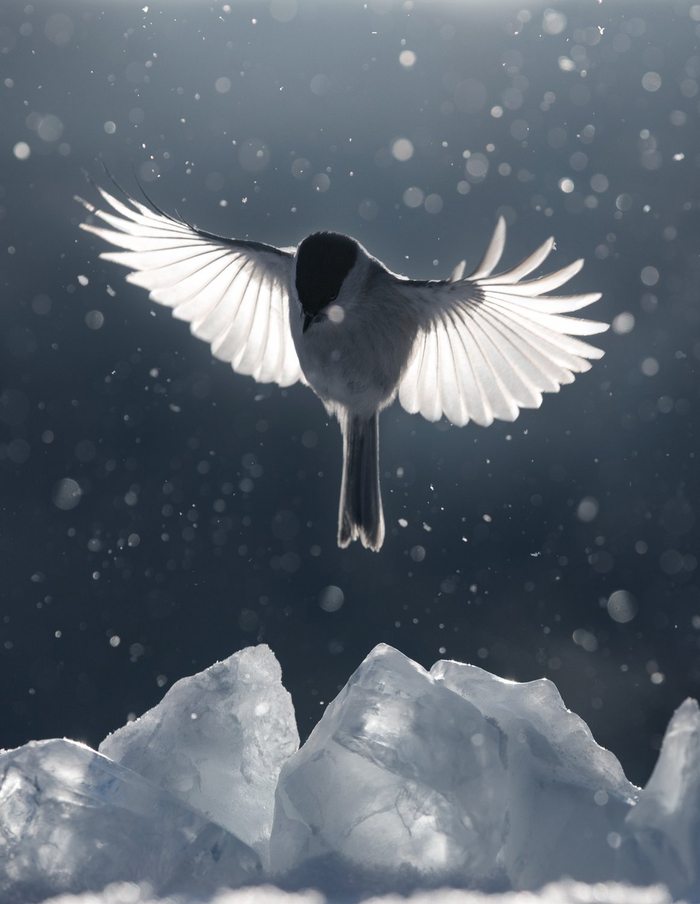 Тульская область, село <a href="https://pikabu.ru/story/gaichka_11050692?u=https%3A%2F%2Fru.wikipedia.org%2Fwiki%2F%25D0%25A1%25D0%25B5%25D0%25BD%25D0%25B5%25D0%25B2%25D0%25BE_%28%25D0%25A2%25D1%2583%25D0%25BB%25D1%258C%25D1%2581%25D0%25BA%25D0%25B0%25D1%258F_%25D0%25BE%25D0%25B1%25D0%25BB%25D0%25B0%25D1%2581%25D1%2582%25D1%258C%29&t=%D0%A1%D0%B5%D0%BD%D0%B5%D0%B2%D0%BE&h=97898a73078a2f1637caf41727e2490da54058b8" title="https://ru.wikipedia.org/wiki/%D0%A1%D0%B5%D0%BD%D0%B5%D0%B2%D0%BE_(%D0%A2%D1%83%D0%BB%D1%8C%D1%81%D..." target="_blank" rel="nofollow noopener">Сенево</a>