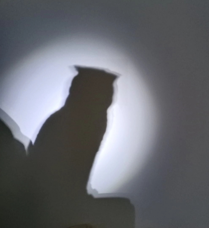 ��������� ��������?